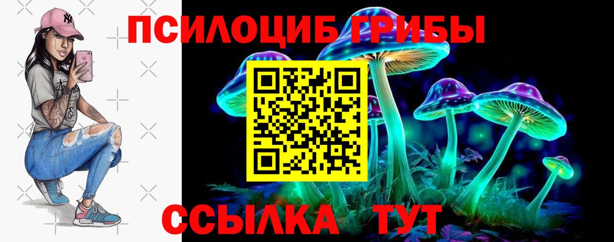 закладки  Псилоцибиновые грибы ЛСД  Вход с VPN  Амурск 